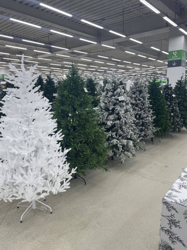 Buy Wholesale Christmas Trees (60 Trees – £1,100) - Image 3
